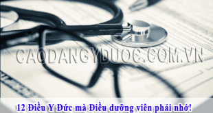 12-dieu-y-duc-dieu-duong-vien