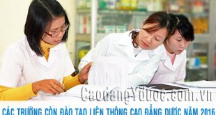 Liên thông Cao đẳng Dược tại Trường Cao đẳng Y Dược Pasteur cần có điều kiện gì?