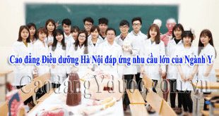 cao-dang-dieu-duong-hanoi-cung-ung-nhan-luc-nganh-y