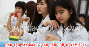 dao tao vb2 cao dang duoc