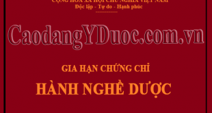 gia-han-chung-chi-nghe-duoc