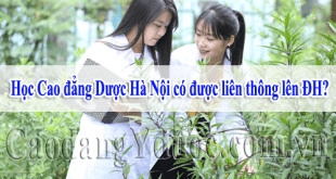 hoc-cao-dang-duoc-co-duoc-lien-thong-len-dai-hoc