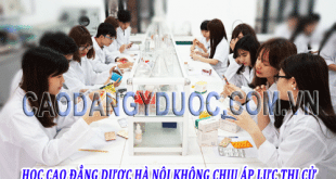 hoc-cao-dang-duoc-k-chiu-ap-luc-diem-so