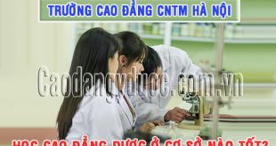 hoc-cao-dang-duoc-truong-nao-tot