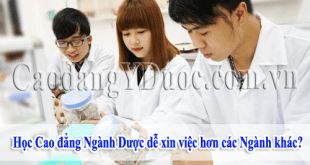 hoc-cao-dang-nganh-duoc-de-xin-viec-hon-nganh-khac