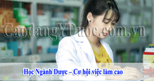 hoc-nganh-duoc-co-hoi-viec-lam-cao