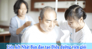 hop-tac-dieu-duong-vien-nhat-ban