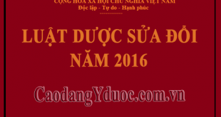 luat-duoc-sua-doi-2016