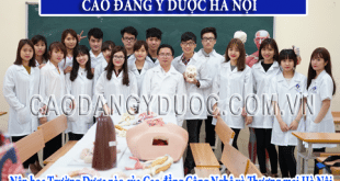 nen hoc truong duoc nao cua cao dang cntm ha noi