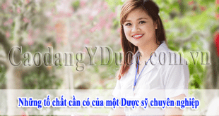 nhung-to-chat-can-co-cua-duoc-sy-chuyen-nghiep