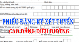 phieu dang ky xet tuyen dieu duong