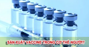 san-xuat-vaccine