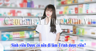 sinh-vien-duoc-co-nen-lam-trinh-duoc-vien