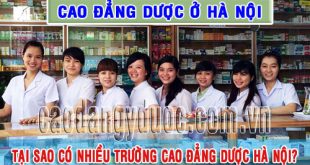 tai-sao-co-nhieu-truong-cao-dang-duoc-ha-noi