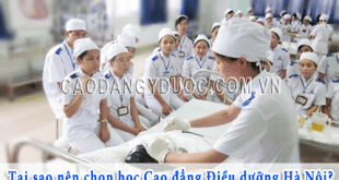 tai sao nen chon hoc cao dang dieu duong hn