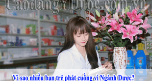 Tốt nghiệp Cao đẳng Dược, người học có thể làm những gì?